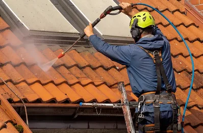 Démoussage et hydrofuge de toiture à Corsavy